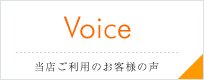 Voice